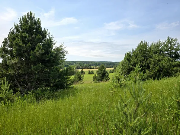 5850 Deer Run Trl, Harbor Springs, MI 49740