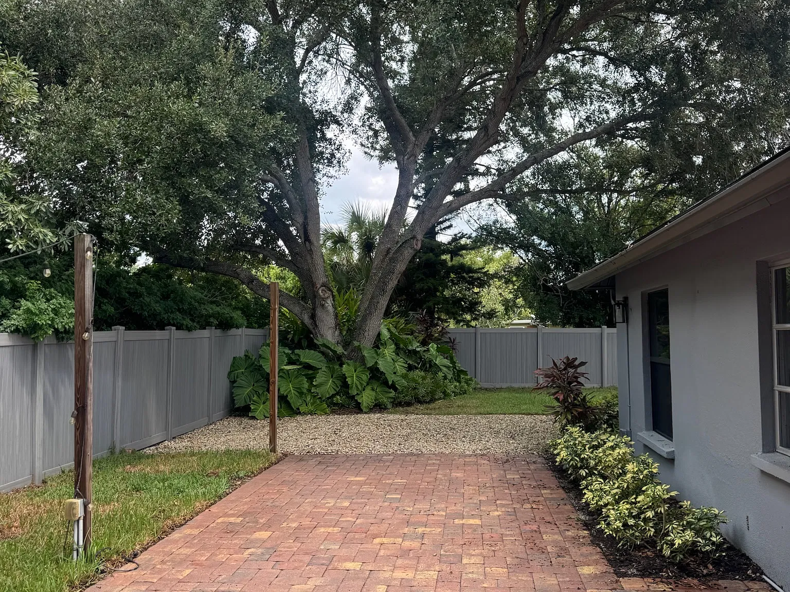 3 bed, 1556 sqft, $3,000 — Photo 4