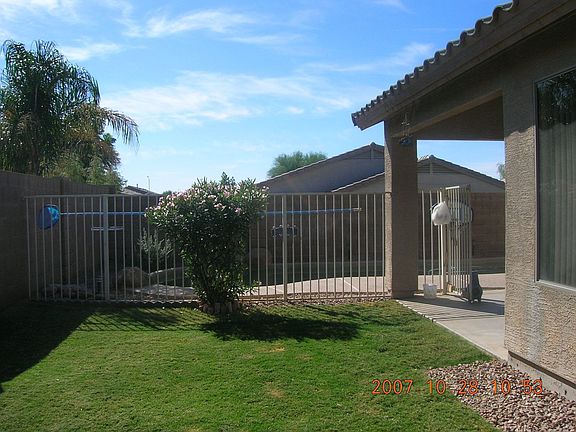 GRASSY BACKYARD
