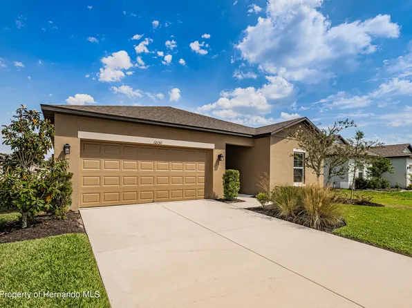 12150 Criollo Rd, Spring Hill, FL 34610
