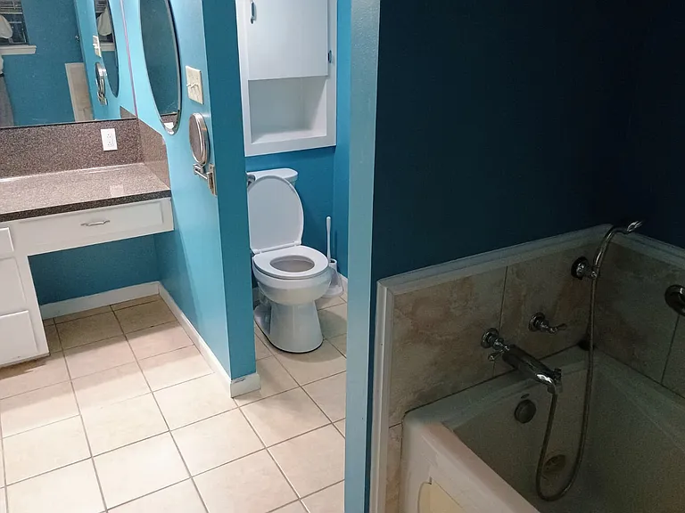 Brand New Toilet