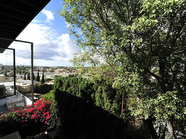 Manzanita — Photo 3