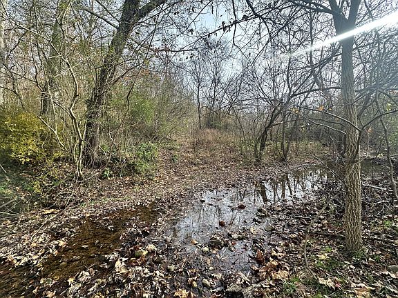 4th image of 210 Trotter Rd