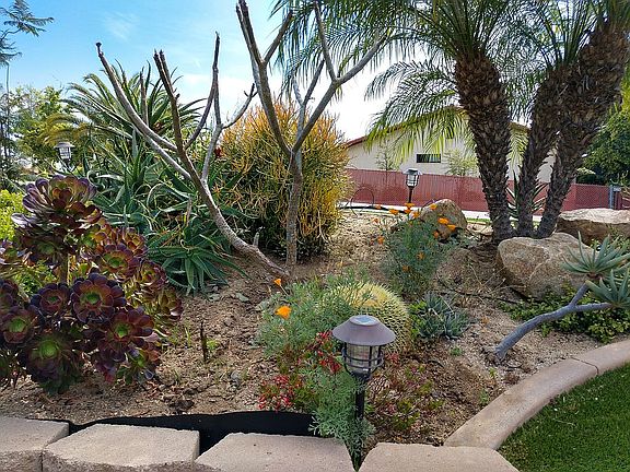 Front yard landscaping