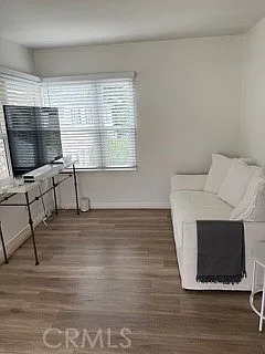 1 bed, 550 sqft, $3,000 — Photo 3