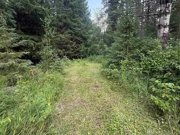 Highway 53, Cook, MN 55723