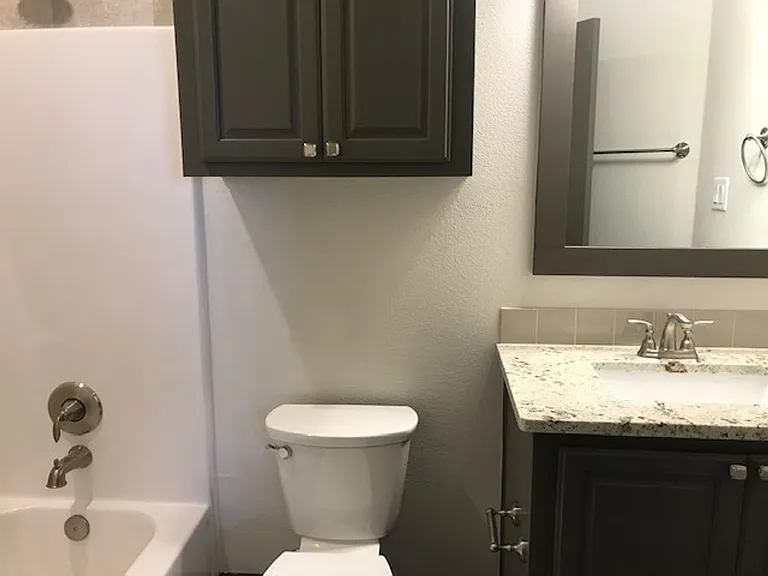 7313 Southern Belle Cir — Photo 12