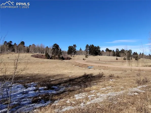 29 Hidden Valley Dr, Florissant, CO 80816