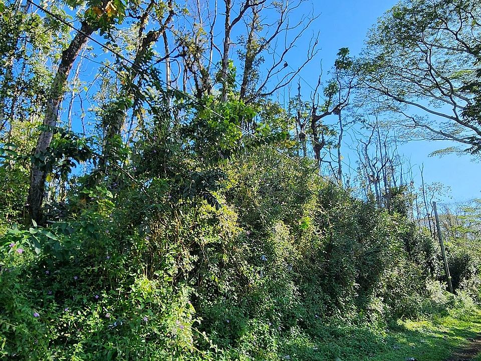 2nd image of Maui Rd Lot 427