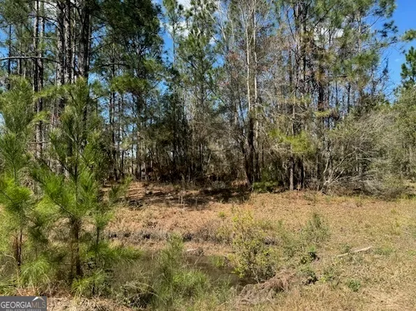 TRACT 87 Bertran Trl, Waycross, GA 31503