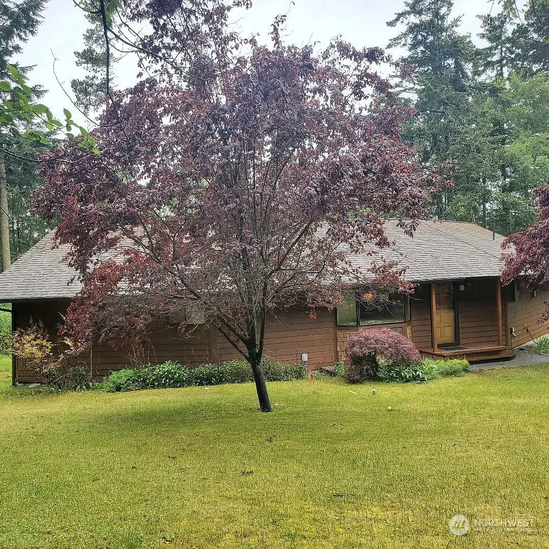 41 Brock Court photo 1