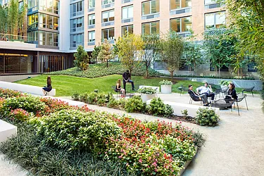 Rented by Gotham Organization