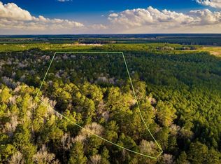 1 Holly Grove Rd, Livingston, TX 77351
