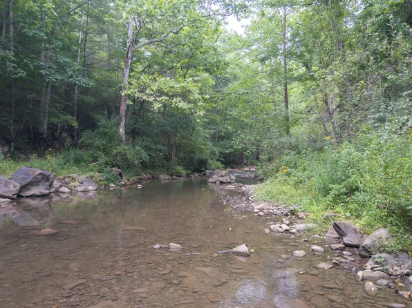 0 Route 605 #&-687, Hot Springs, VA 24445