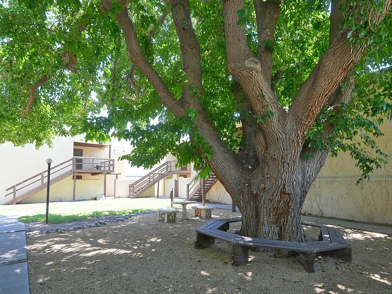 Branson Apartments — Photo 8