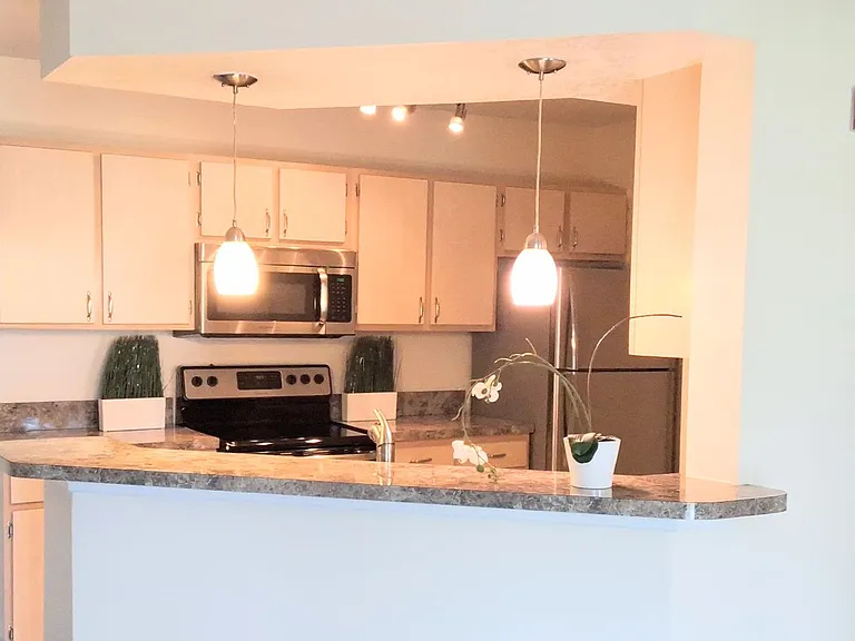 12500 Crest Springs Ln #1031 — Photo 13