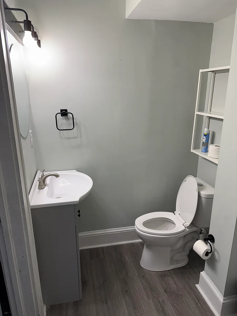 Master bathroom. Shower not pictured. - 1003 Douglas Ave