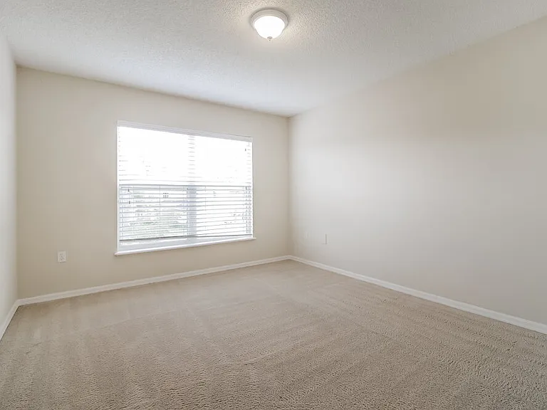 12466 Woodbury Cove Dr — Photo 12