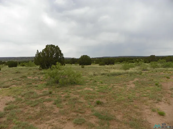 1 Mesita Pass Rd, Cuervo, NM 88417