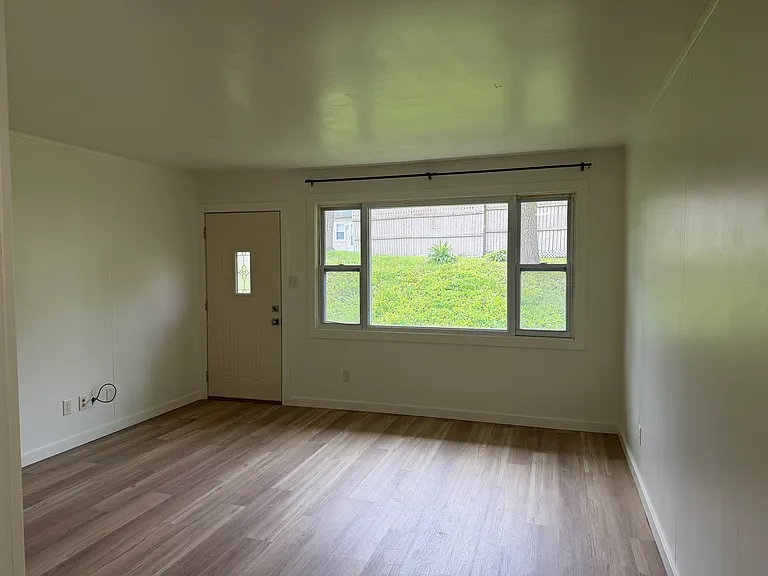 Looking out the living room window.