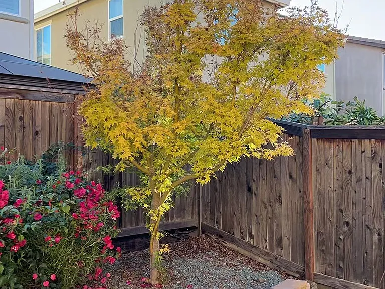9777 Carico Way — Photo 28