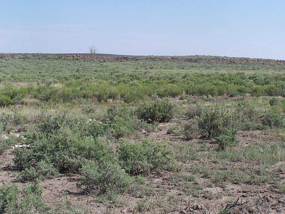 3rd image of 18995 Sunrise Trails -cont-36.25 Ac