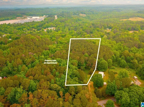 0 Spunky Hollow Rd #1, Trafford, AL 35172