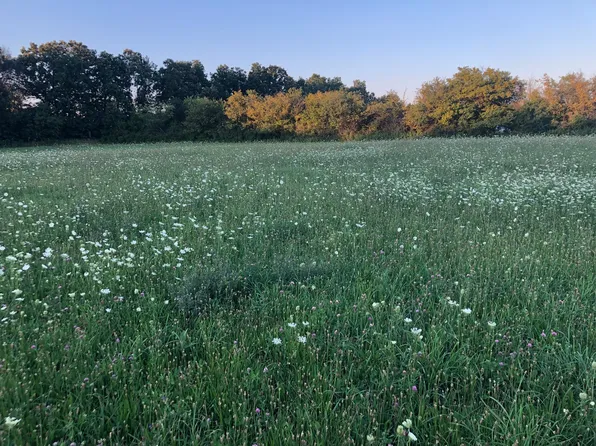 40369 N Belle Foret Dr Lot 5, Wadsworth, IL 60083