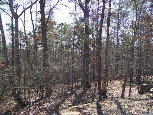 1st image of 138 Eagle Heart Ct