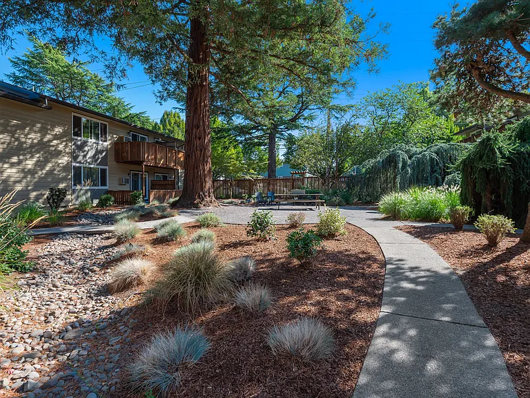 Park At Allen Apartments — Photo 26