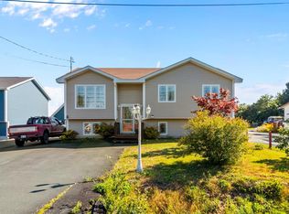 45 Peachytown Rd, Conception Bay South, NL A1X7C7