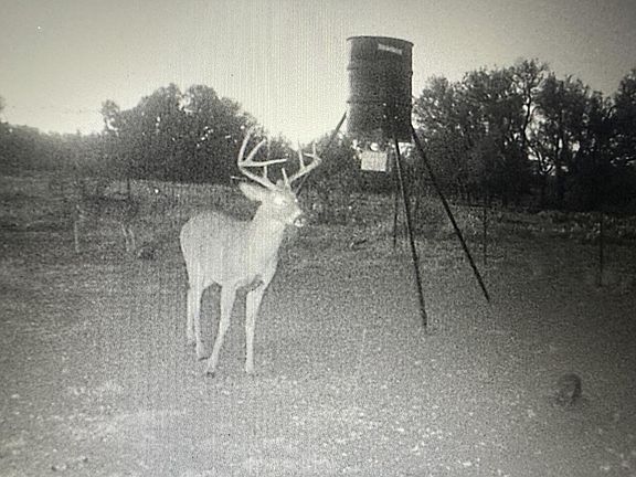 4th image of 1335 Ocelot Rd #See
