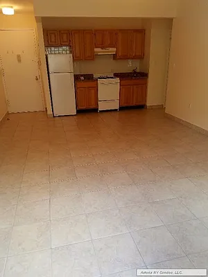 Rented by Astoria NY Condos | media 20