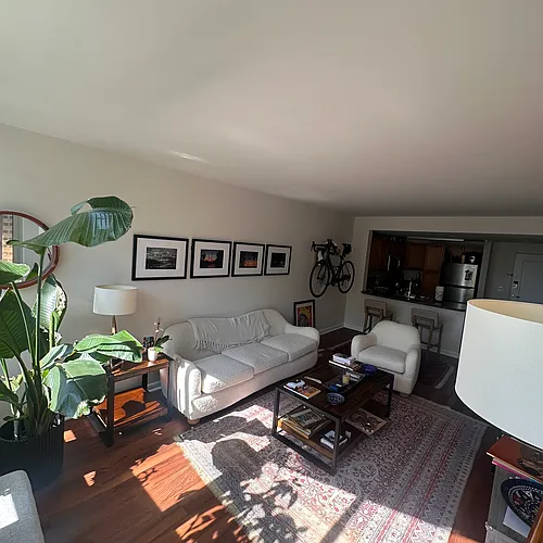 350 G St SW #N621 Photo 1