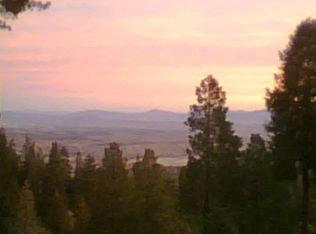 529 Mozumdar Dr, Cedarpines Park, CA 92322