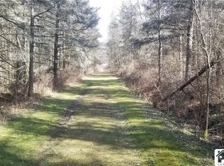 6266 Bluebird Ln #20, Cattaraugus, NY 14719