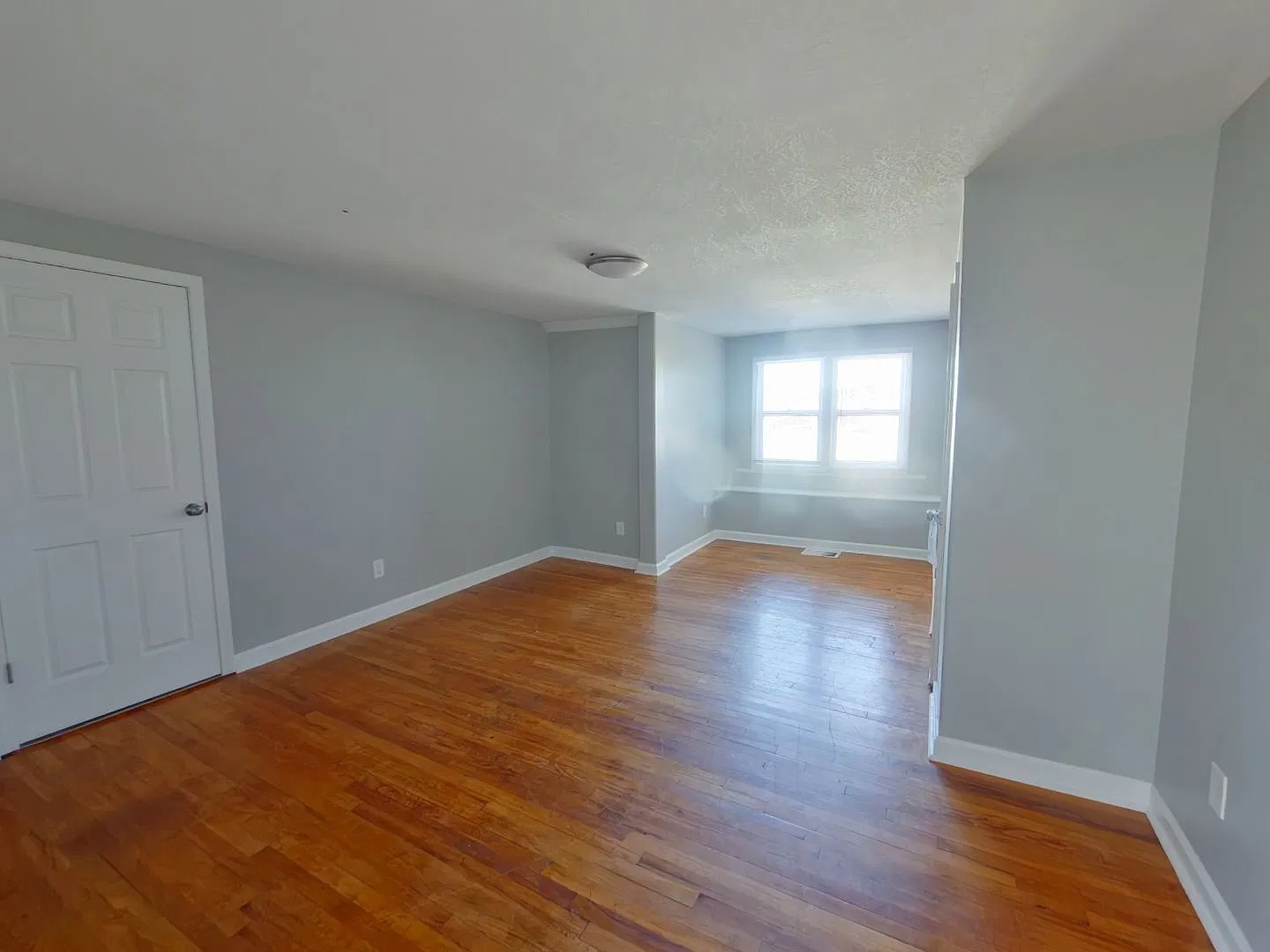 2833 Ellen — Photo 4