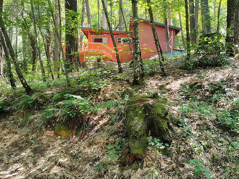9921 Lukes Rd — Photo 2