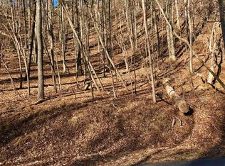 Owltown Dr, Ellijay, GA 30536