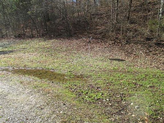 5th image of 411 Deep Branch Rd