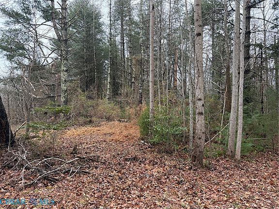 2nd image of 2231 Iberis Rd