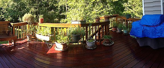 Back Porch