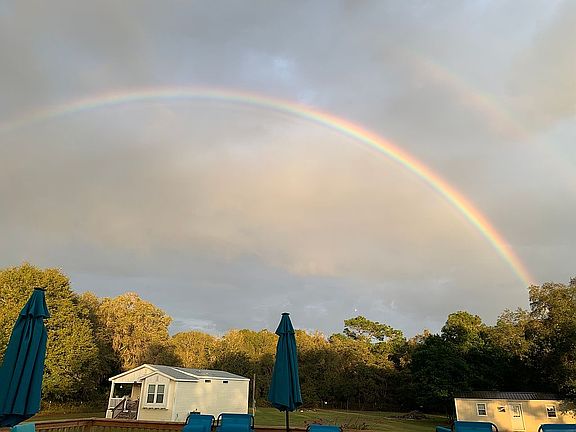 Beautiful Nature Surrounding