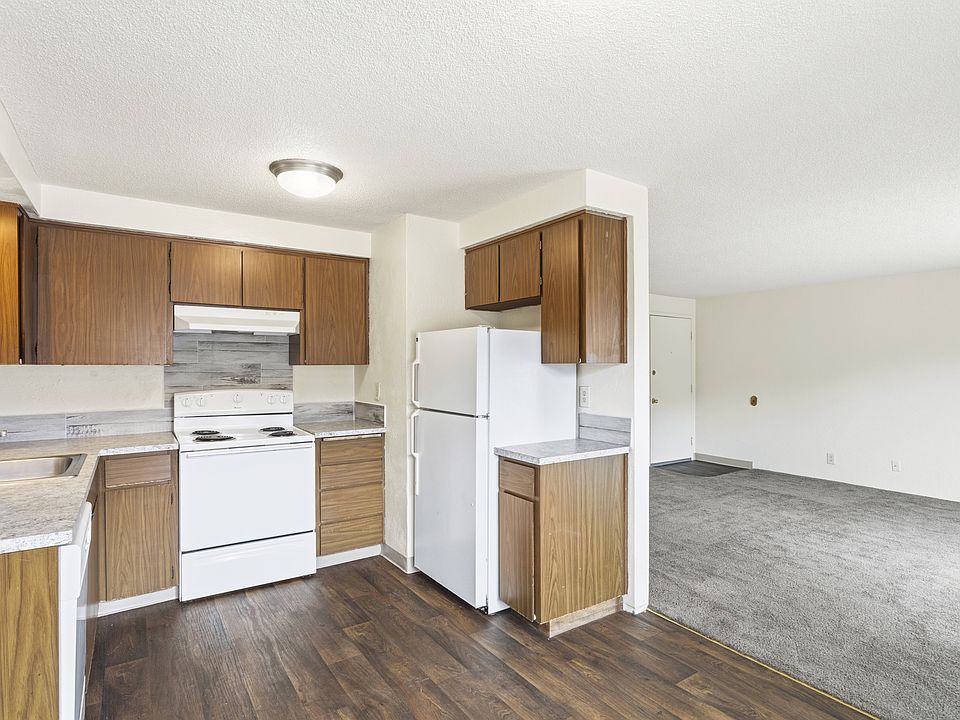 Fully Furnished Kitchen