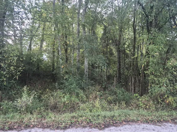 1 Dixon Town Rd, Prospect, TN 38477