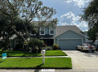 3807 Polumbo Dr, Valrico, FL 33596