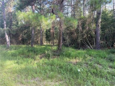 LOT D2 John T Prats Rd #A, Covington, LA, 70435