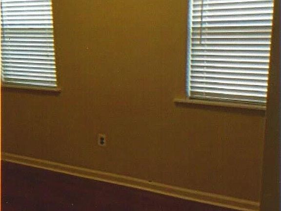 New Blinds