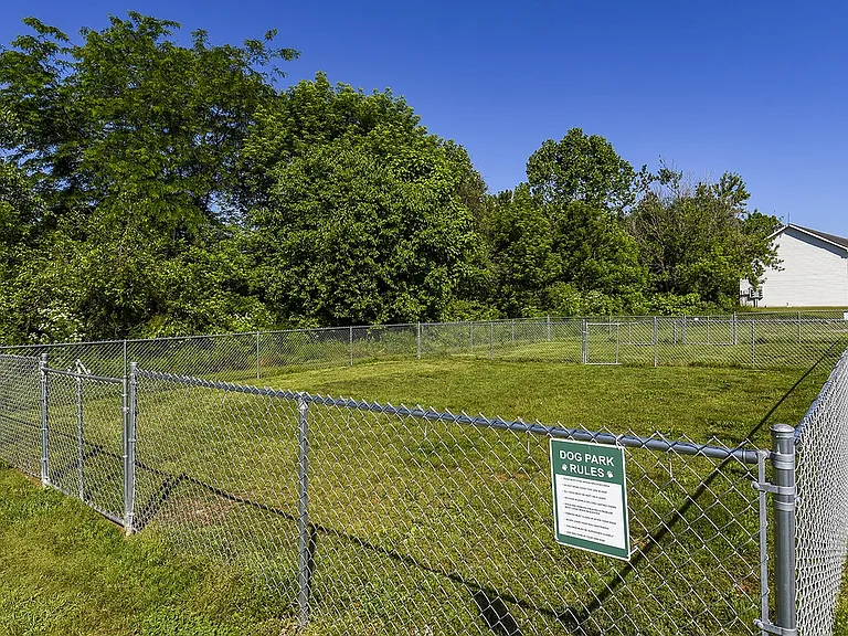 Dog Park