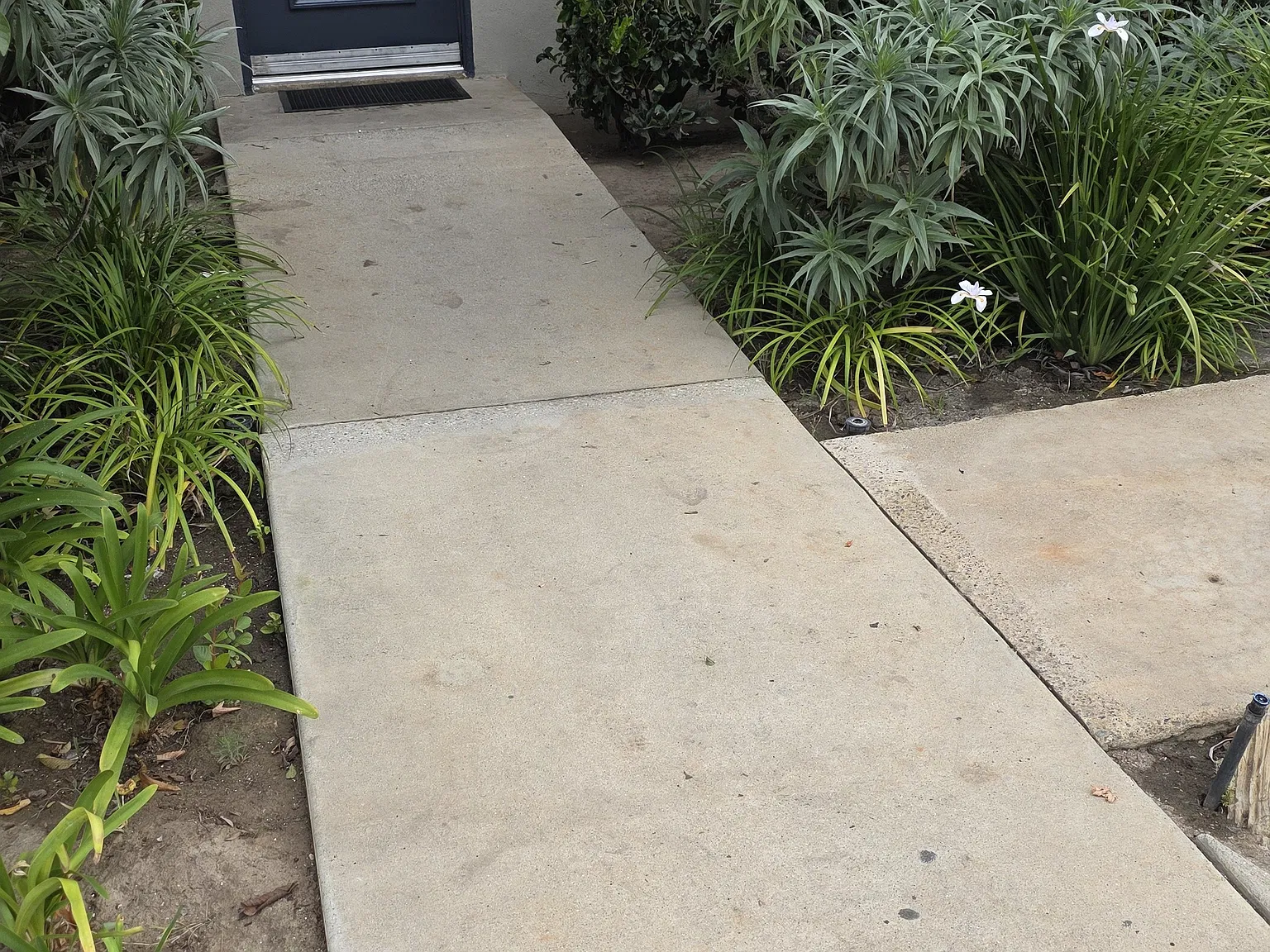 Maple Street Apts — Photo 1